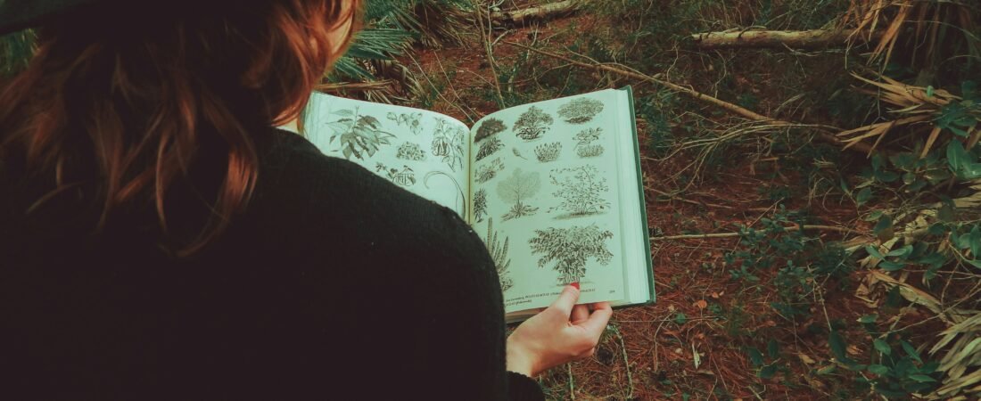 Step Into Serenity: 42 Forest Walk Quotes to Inspire Your Next Nature Escape