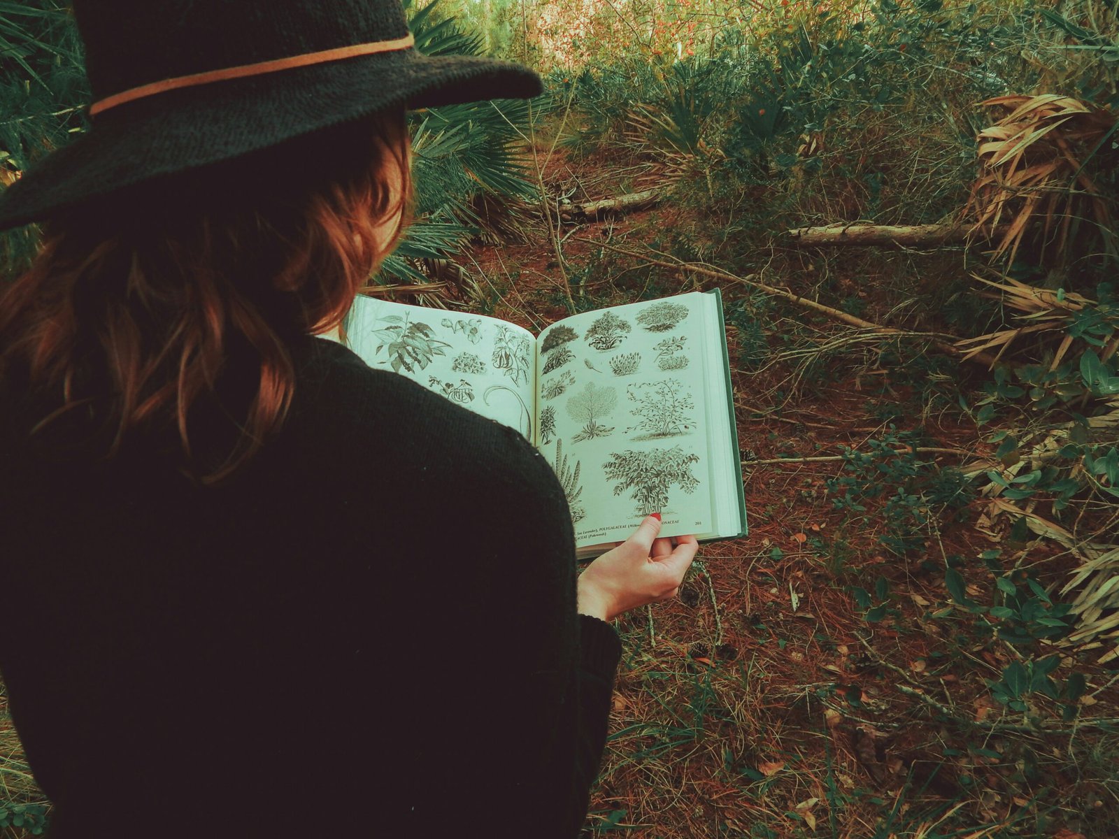 Step Into Serenity: 42 Forest Walk Quotes to Inspire Your Next Nature Escape
