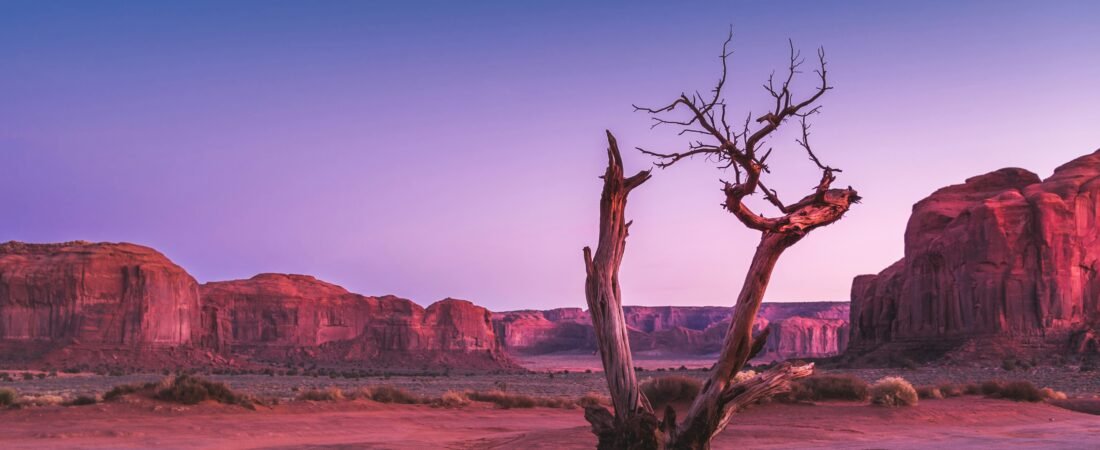40+ Desert Quotes for That Endless Horizon & Desert Vibes