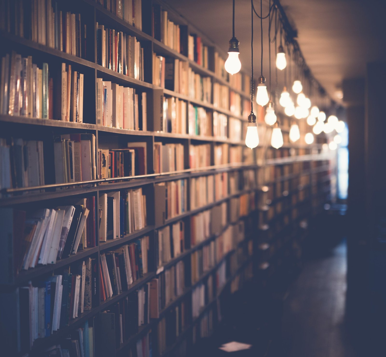 Biblio-Vibes: Perfect Bios for Every Bookworm