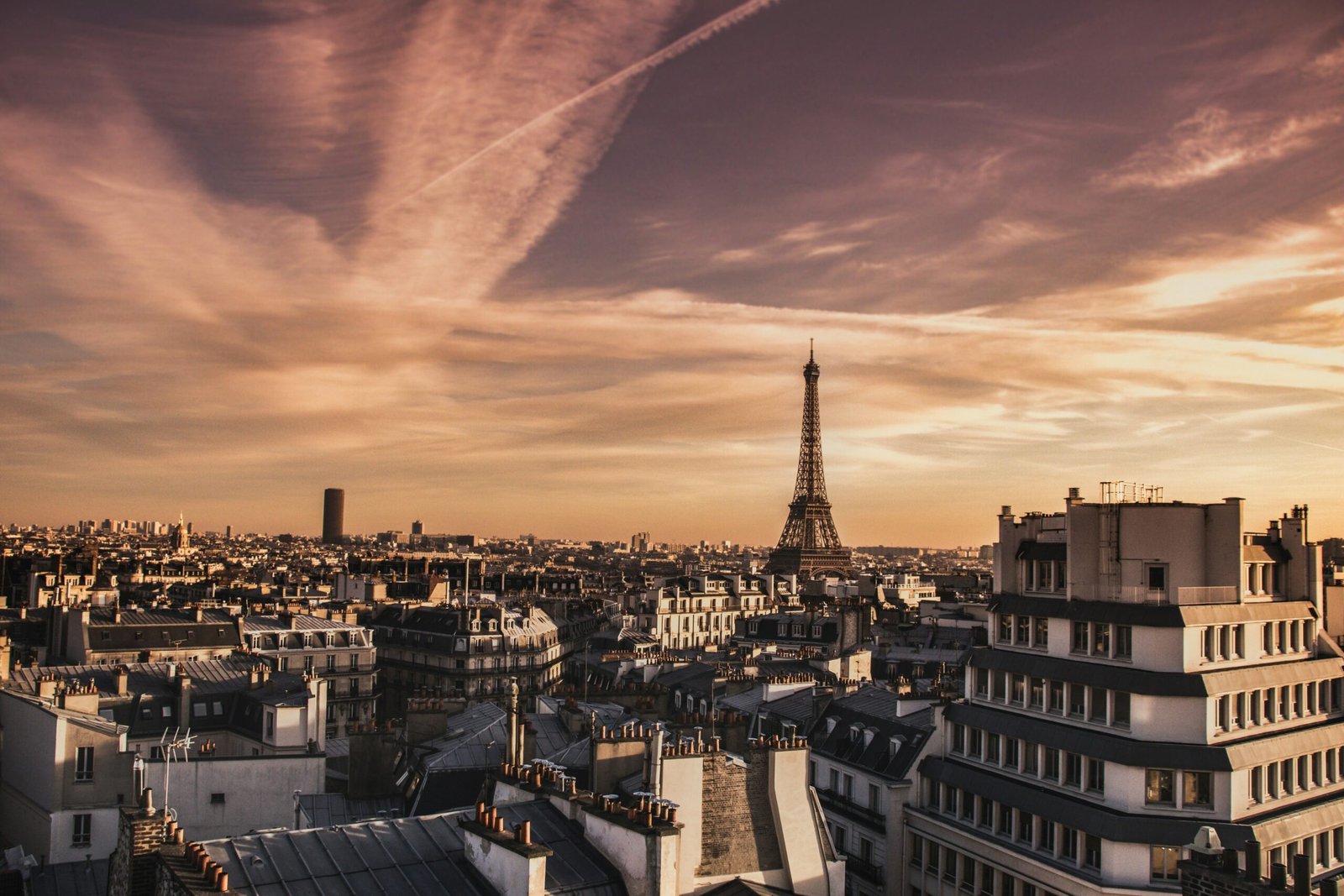 Baguettes, Berets & Bios: Parisian Vibes