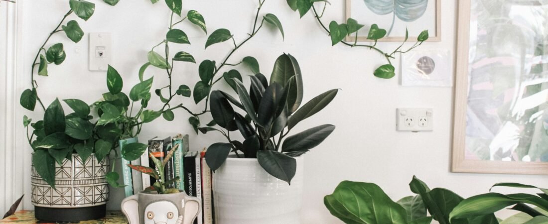 Potted & Proud: The Ultimate Plant Parent Bio List