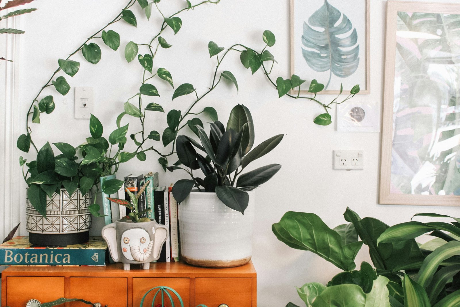 Potted & Proud: The Ultimate Plant Parent Bio List