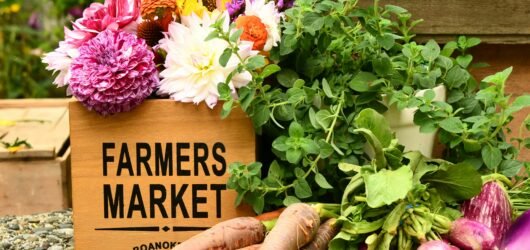 40+ Farmers’ Market Quotes for Fresh Vibes & Good Finds